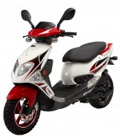 2008 PGO T-Rex 50 photo